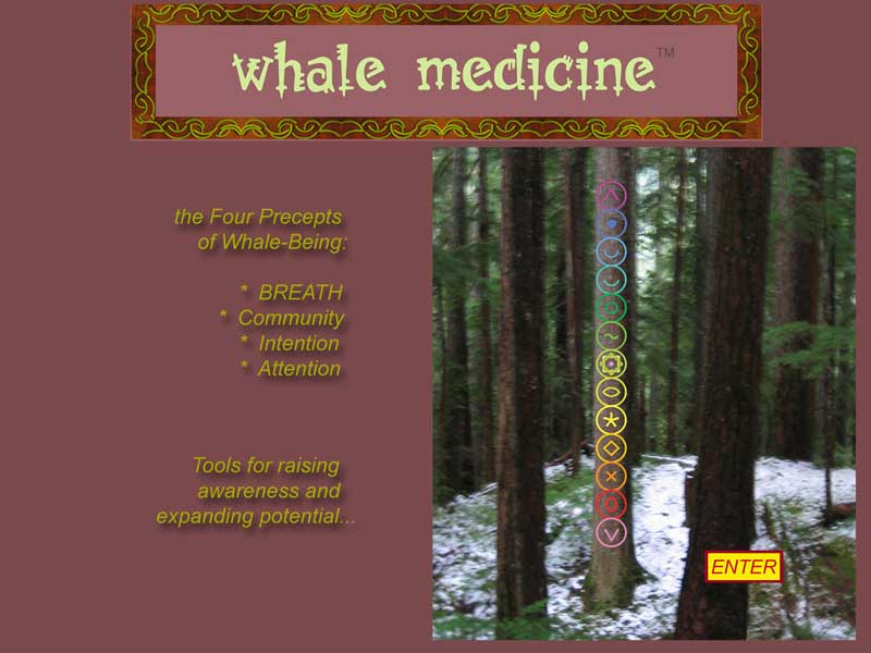 Whale Medicine - enter